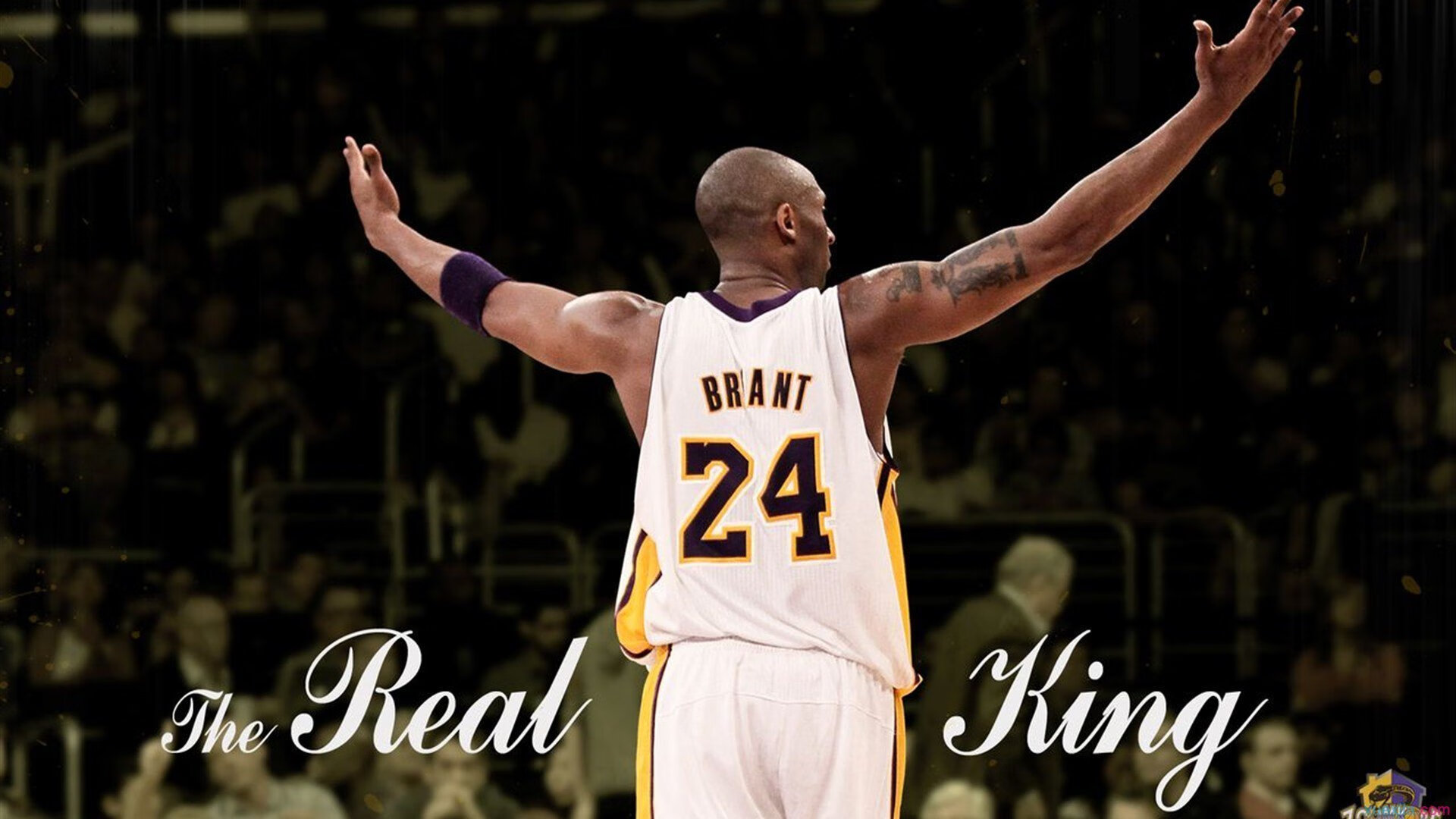 奥恰洛夫横扫传奇,奥地利风暴席卷韩国军团